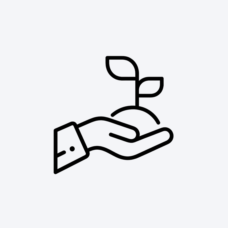 Icon of a hand holding a plant growing, representing new growth