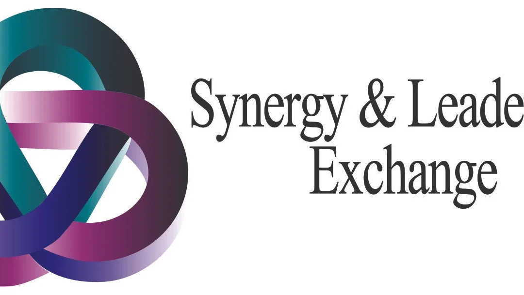 Synergy and Leadership Exchange